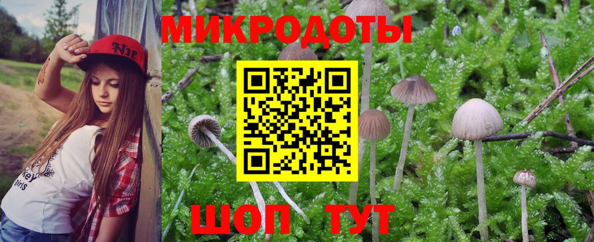 Ипатово  хочу   Галлюциногенные грибы MAGIC MUSHROOMS  Вход с VPN  Псилоцибиновые грибы Magic Shrooms 