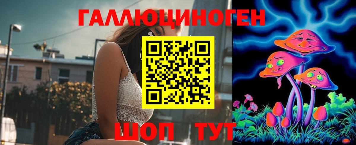 Галлюциногенные грибы Psilocybine cubensis Ипатово